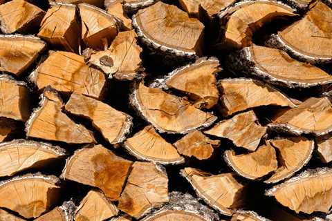 Best Firewood for Heating