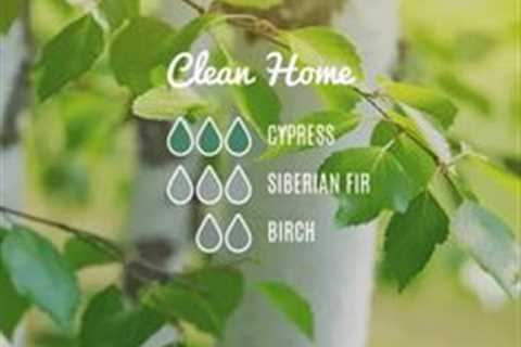 Birch diffuser recipe - clean home by Loving Essential Oils