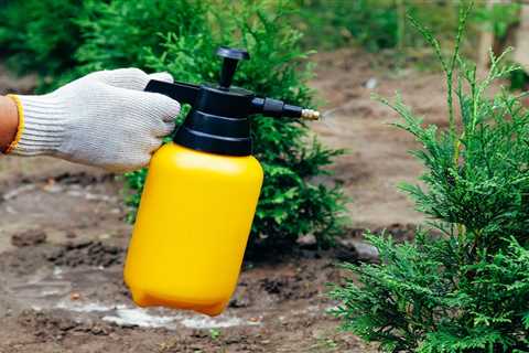 Lawn Sprayers: What To Know Before You Buy