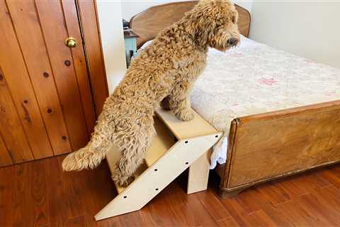 How To Build DIY Dog Stairs