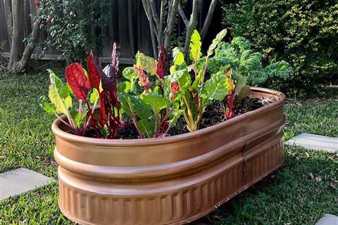 10 Raised Bed Garden Ideas