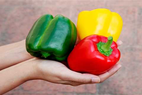 How To Grow Bell Peppers