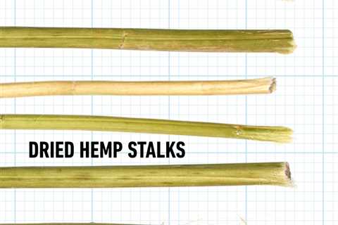 What to Know About Hemp Building Products