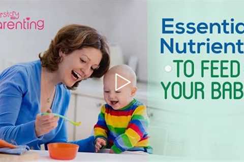 Essential Nutrients for a Baby (For 6 Month Old and Above)