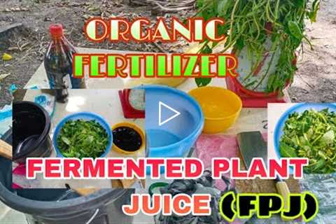 HOW TO MAKE FERMENTED PLANT JUICE (FPJ)  #organic #fertilizer #plants #animals