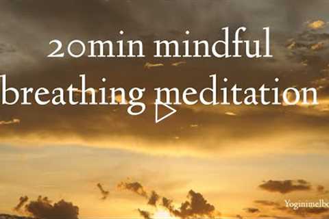 20min mindful breathing meditation | relaxation | stress relief