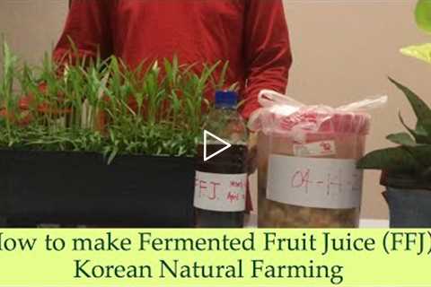 How to Make Fermented Plant Juice (FFJ) : Korean Natural Farming [knotrain2020]