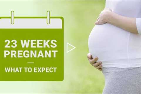 23 Weeks Pregnant - Symptoms, Baby Growth, Dos & Don'ts