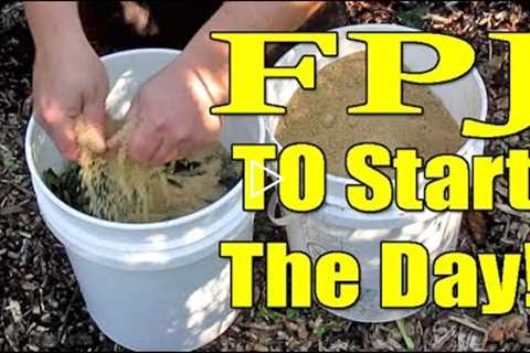 Easy Homemade Fertilizer Using Weeds & Brown Sugar | Fermented Plant Juice aka FPJ