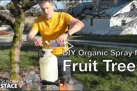 DIY Organic Spray for Fruit Trees