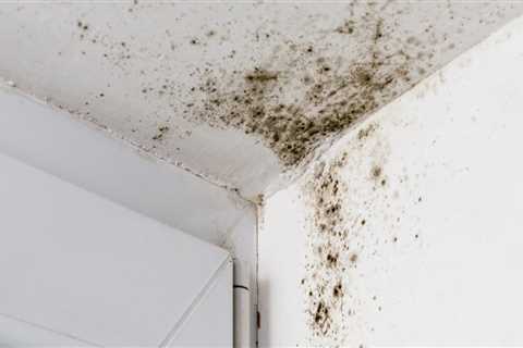 How do you tell if mold is making you sick?