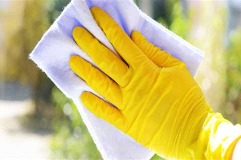 How often should you clean your windows?