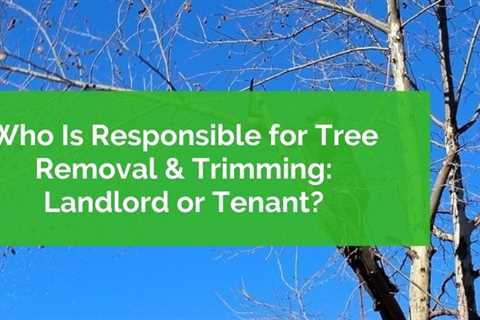 A Tree Dies - Landlord or You, Who is Responsible? - SmartLiving - (888) 758-9103