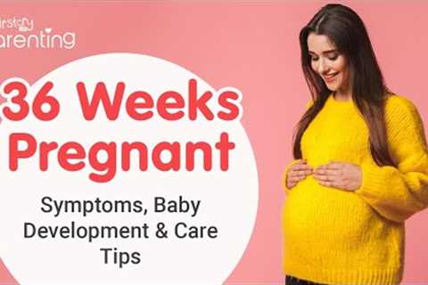 36 Weeks Pregnant - Symptoms, Baby Development, Do's and Don'ts