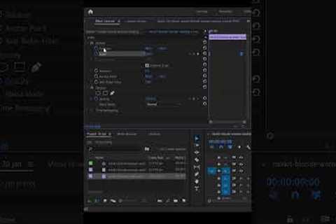 Basic  Animation In Premiere Pro #animation #animations #shorts