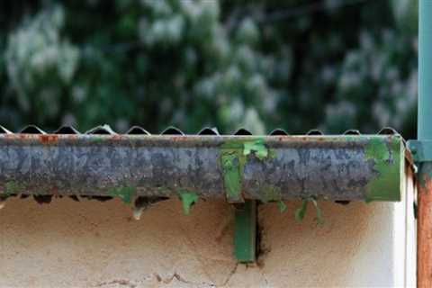 How Dirty Gutters Can Damage Your HVAC System