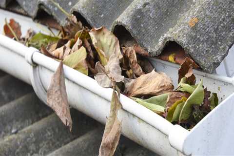 The Advantages of a Professional Gutter Soft Washing