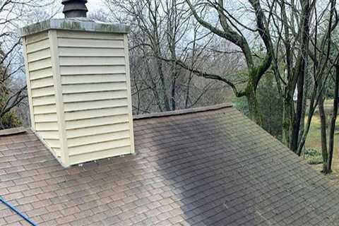 Does soft washing your roof damage it?