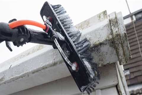 Exactly How to Eliminate Home Fungus Development in Your Gutters