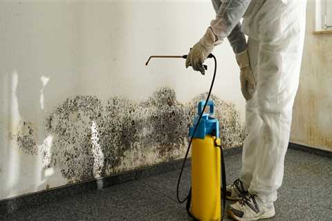 House cleaning after mold remediation?