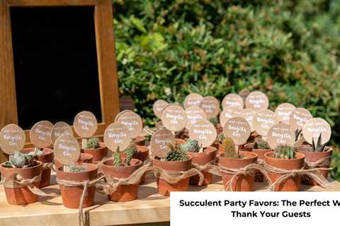 Succulent Party Favors: The Perfect Way to Thank Your Guests