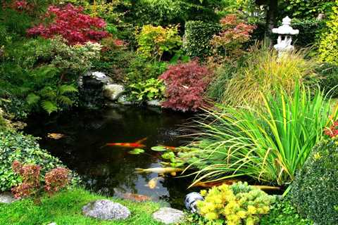 What To Know About Backyard Koi Ponds