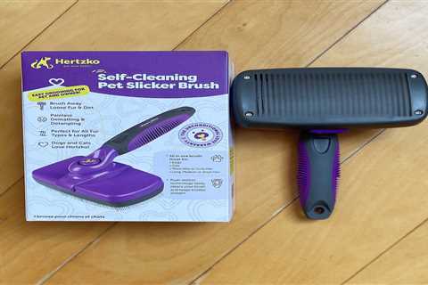 I Tried the Best Pet Brush on Amazon to Nip Shedding Cat Hair at the Source