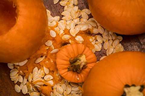 Avoid Spooky Plumbing Mishaps with Pumpkin Guts This Halloween