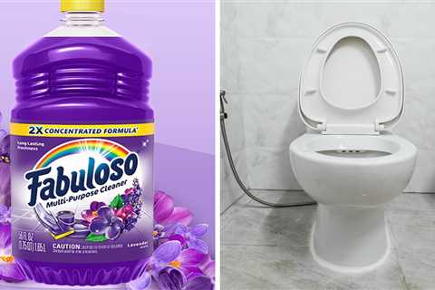 Fabuloso in the Toilet Tank: Does It Work?