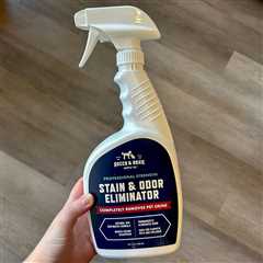 We Tested and Reviewed the 5 Best Pet Stain Removers of 2024