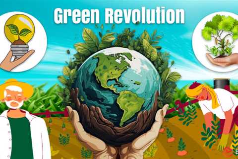 Essay on Green Revolution