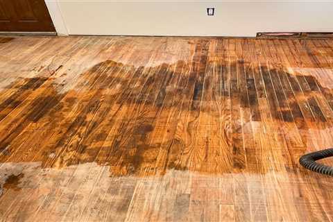 How To Save a Pet-Stained Hardwood Floor