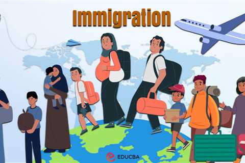 Essay on Immigration