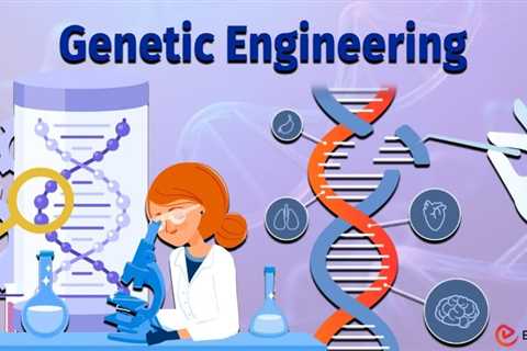 Essay on Genetic Engineering