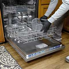 How To Clean a Dishwasher Filter and Spray Arm