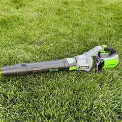 The Best Cordless Leaf Blowers, Tested By a Lawn Expert