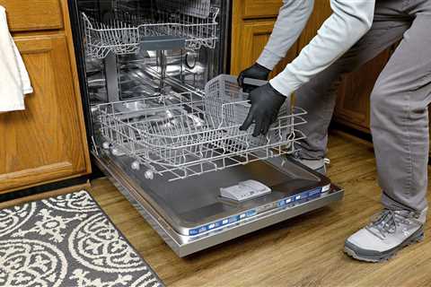 How To Clean a Dishwasher Filter and Spray Arm