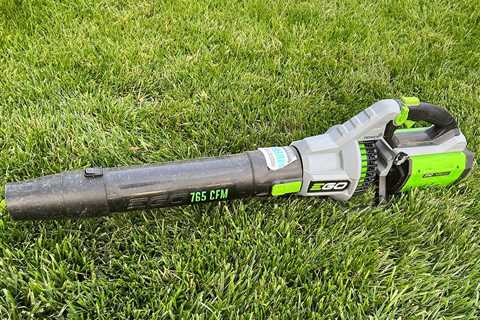 The Best Cordless Leaf Blowers, Tested By a Lawn Expert