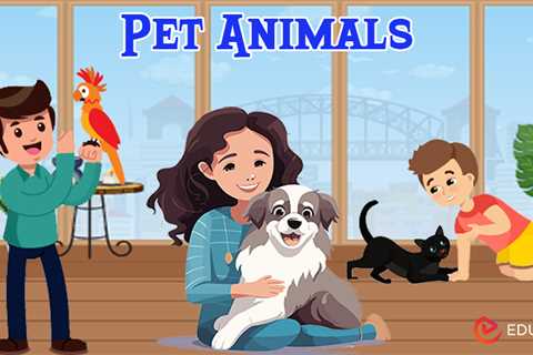 Essay on Pet Animals