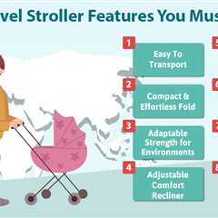 Travel Stroller Features