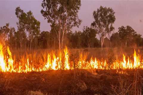 Developing a Fire Risk Management Plan
