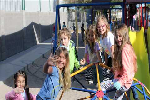 The Comprehensive Curriculum of Pinal County, Arizona: An Expert's Perspective