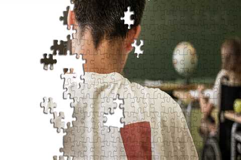 The State of Special Education Programs in Anoka County, Minnesota