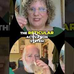 Small Steps, Big Wins: Unlock Your Power Now! #shorts