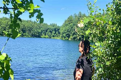 Exploring the Best Bookstores in Middlesex County, MA: A Comprehensive Guide