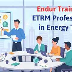 Endur Training for ETRM Professionals