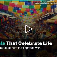 Trading Chaos for Color: Why Mexico Feels Like a New Beginning