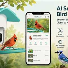 AI Revolutionizing Personal Hobbies: The Birdfy Transformation of Birdwatching
